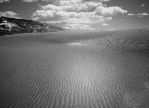 Bart Ellison Photography